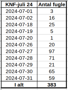 KNF juli24 dagstotaler