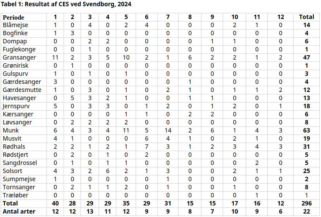 Fangster CES Svendborg2024