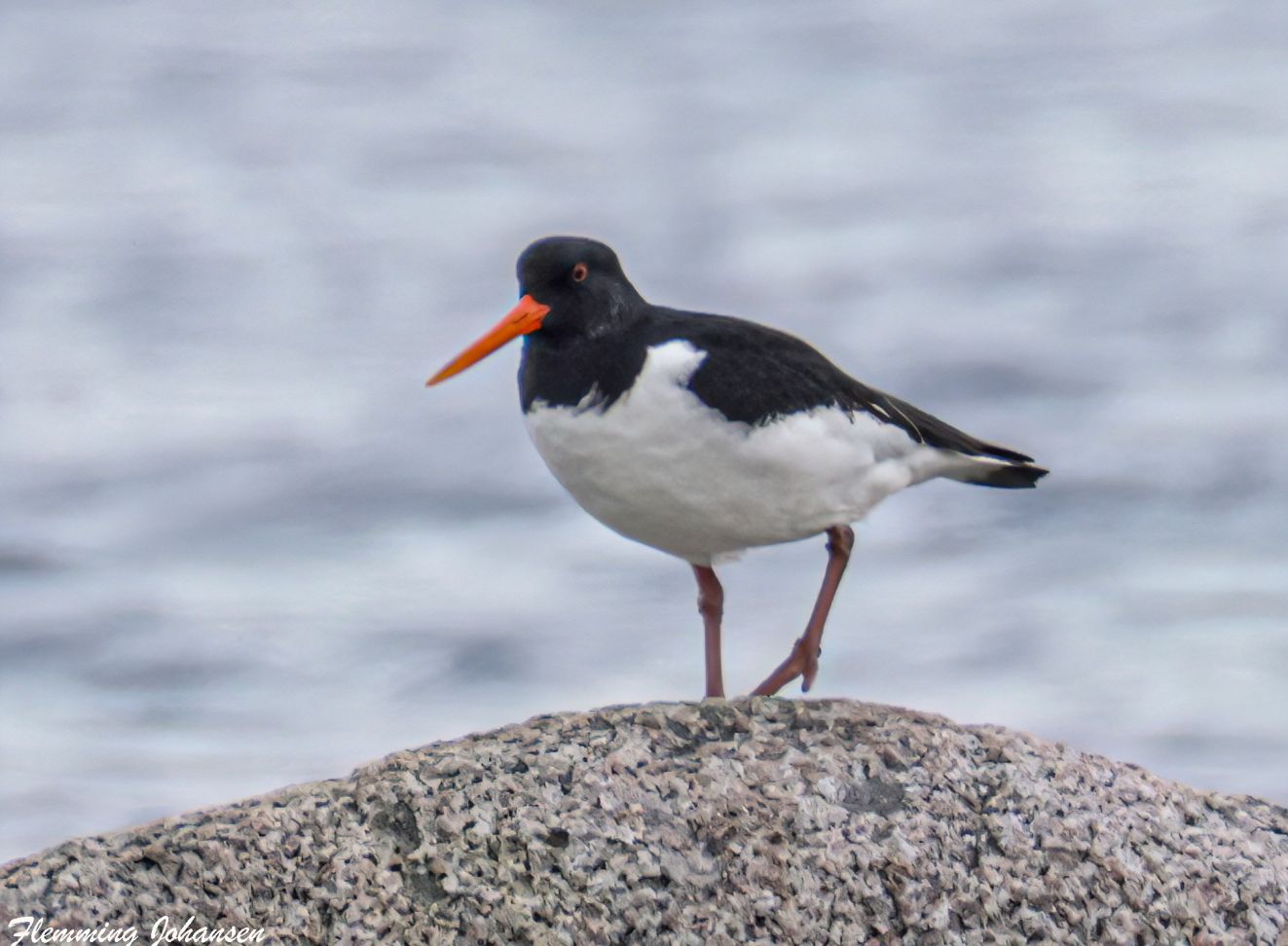 080225strandbojdflj