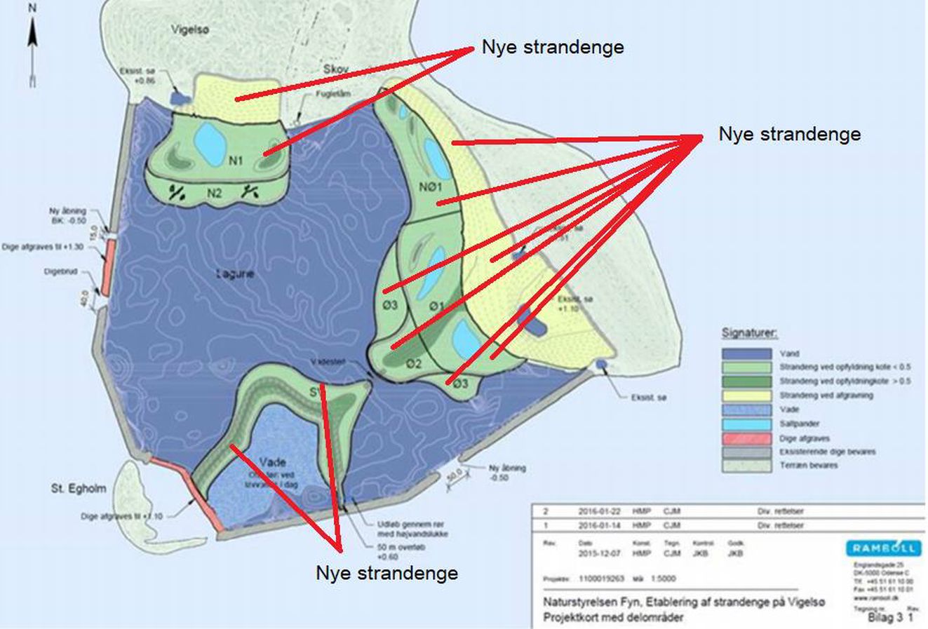 260125nystrandengrambol